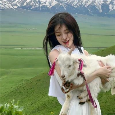 少战精英:爷爷的宝藏